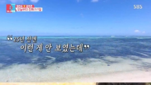 '동상이몽' 최민수-강주은, 25년 만의 두 번째 결혼식 