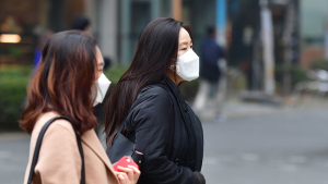 호모더스트쿠스가 한국에서 살아남는 법