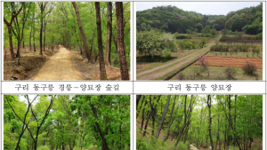 조선왕릉 숲길서 ‘치유‧명상’ 즐긴다…16일부터 8곳 숲길 개방