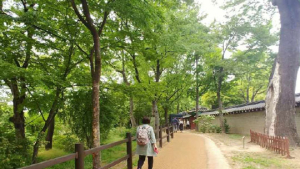 문화재청 21일부터 덕수궁 내부보행로 야간개방