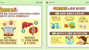 쌀, 콩, 아몬드에 '곰팡이' 피는 것 예방하려면?