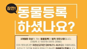8월까지 반려동물 등록 안 하면 최대 100만원 과태료 낸다