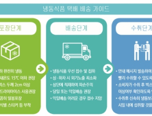 냉동식품 택배 배송 시 '드라이아이스' 사용해야