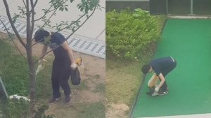 경찰, '경의선 숲길 고양이 살해' 남성 검거