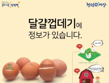 대형마트 달걀 산란일자 표시율 99%…23일부턴 표시 전면 의무