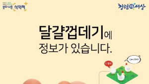 대형마트 달걀 산란일자 표시율 99%…23일부턴 표시 전면 의무