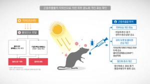 곤충 추출물, 자외선에 의한 피부 광노화 억제 효과 있어