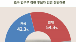 ‘조국 임명’ 반대 54.3% 찬성 42.3%…文대통령 국정지지율 46.5% [리얼미터]