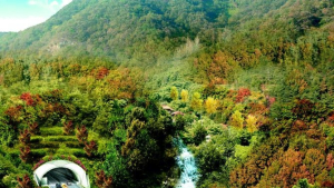 산청 국도59호선 밤머리재 터널 관통…2021년 하반기 완공 목표