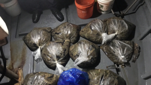해삼 95㎏ 불법 채취한 선장 검거