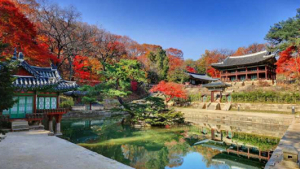 경복궁 4대궁‧종묘, 조선왕릉 추석연휴 무료 개방