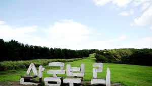제주도에서 1년…산굼부리