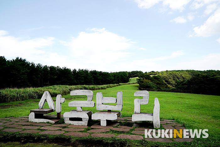 ‘산굼부리’는 산에 생긴 구멍(굼)이란 뜻의 제주도 방언이다. 관리사무소에서 제일 높은 곳까지의 높이가 31미터이며, 이곳에서 분화구 바닥까지의 깊이는 132미터다. 분화구 바닥이 주차장 지면보다 100미터나 아래에 있다. 지질학자들은 산굼부리가 용암이 분출된 후 마그마의 공급이 갑자기 줄어들었거나, 마그마가 다른 곳으로 이동해 지하에 공간이 형성되면서 지반이 가라앉아 만들어진 함몰분화구라고 설명한다.