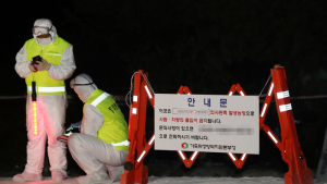 경기 파주서 아프리카돼지열병 의심 신고 추가 접수