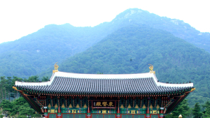 [산청소식]“힐링1번지 동의보감촌 사진작품 관람하세요”