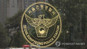 청와대 비서실 소속 7급 공무원 '뺑소니' 혐의 입건