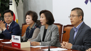 나경원 “서초동 집회, 황제데모 수준…조국 반대‧비호 집회 잘 대비되는 대한민국”