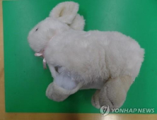 한국인과 결혼 후 마약 밀반입한 베트남 여성 체포