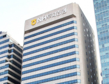 금융위, ‘해외법인 신용공여’ NH투자증권에 과징금 부과