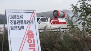 경북서 올해 2번째 조류독감 바이러스 검출