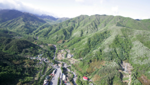 산청군, 산림 근처 화재위험 사전 차단 나서