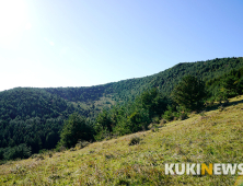 제주도에서 1년…신선이 산다는 영주산 瀛州山