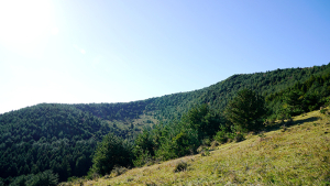 제주도에서 1년…신선이 산다는 영주산 瀛州山