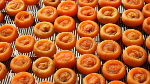산청군, 시설 등 현대화로 명품 곶감 생산