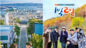 [2019 결산] 주춤한 케이블·종편, 반격 나선 지상파