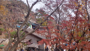 95년 동안 지켜온 산악인들의 쉼터 북한산 백운산장 영업 종료