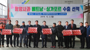 함양 사과 베트남‧싱가포르 시장 수출길 올라
