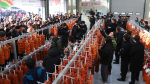 함양군, 임금 진상 ‘함양곶감’ 초매식 본격 출하