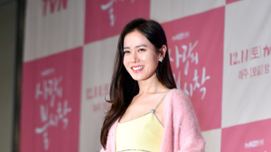 손예진 '절정의 미모'