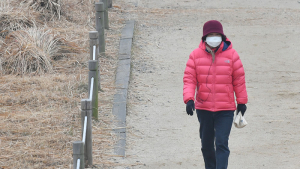 미세먼지 속 산책