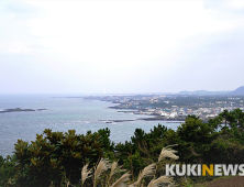 제주도에서 1년…서우봉 너머 서모봉 아래 북촌