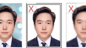 온라인 여권 재발급신청 서비스 시범 시행