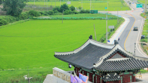 탈북자 K씨 월북한 배수구 현장...철창 벌어져 있어