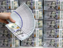 미, 한국 등 9개 중앙은행과 통화스와프 계약 6개월 연장 발표