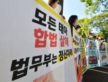 “정부여당은 낙태 방치하나?” 조해진, 태아살해 우려