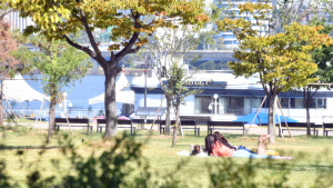 [오늘 날씨] 전국 대체로 맑고 선선… 일교차 큰 가을 날씨