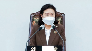 [기사, 후] 개선보다 누가 그랬냐가 중요한 황주영의 강동구의회