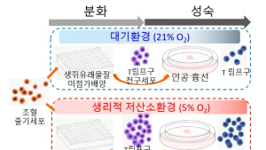 치명적인 조혈모세포 이식 합병증, 예방법 찾았다 
