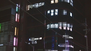 23억 탈세 J성형외과 등 조세포탈범 35명 명단 공개