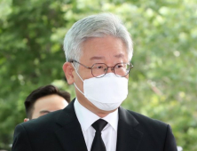 이재명, 文대통령 조기퇴진 외치는 野에 “님들이나 하세요”