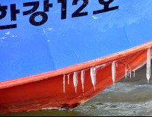 배에 붙어있는 고드름