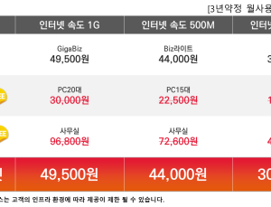 SK브로드밴드, 기업용 Biz인터넷 출시 