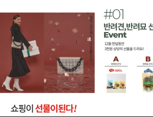 오르바이스텔라, 1주년 이벤트 성금 기탁