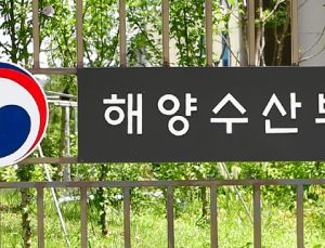 인천항에 신규 3척 등 10여척 선박 투입…중고차 수출 지원