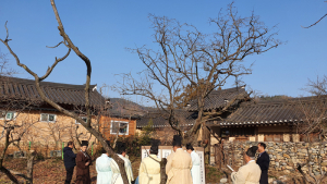 산청군, 국내 최고수령 고종시 나무 제례 행사