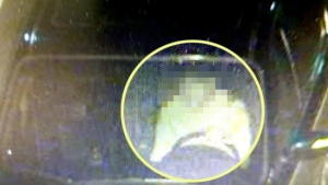 ‘진해 초등생 뺑소니’ 20대 카자흐스탄 징역 2년6개월